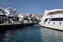 30 Nisan-3 Mayıs SharmEl - Sheikh Gezi 7-9 Nisan Hikvision DPP Ödül Töreni